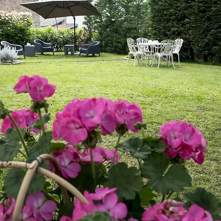 Bed & Breakfast & Breakfast Angela Felino