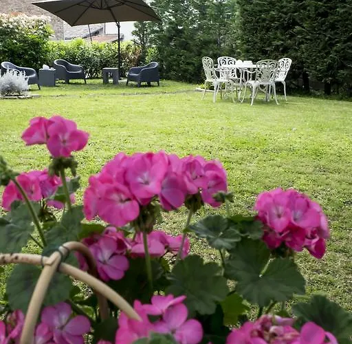 Bed and Breakfast & Breakfast Angela Felino