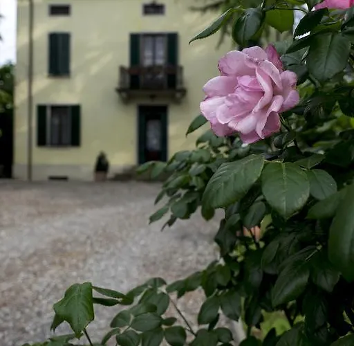 Bed and Breakfast & Breakfast Angela